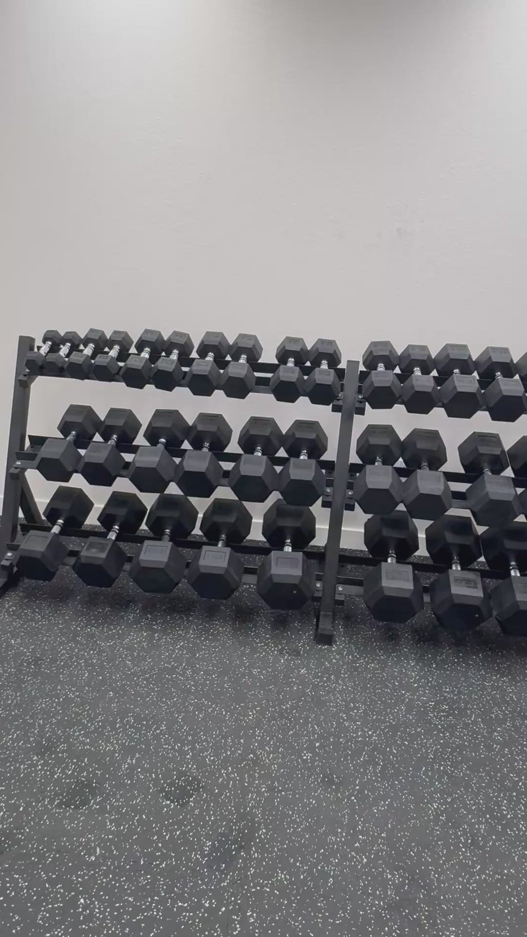 5-100 lb Hex Dumbbells with Rack video